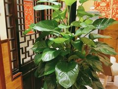 -西贝(六里桥旗舰店)