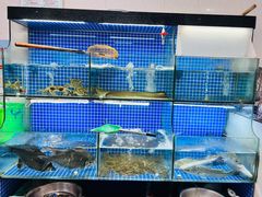 -小本鸡饭店(滨江白马湖店)