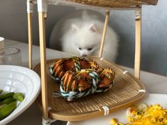 清蒸阳澄湖大闸蟹公蟹-丫丫蟹庄·苏式园林农家乐·阳澄湖大闸蟹(阳澄湖莲花岛店)