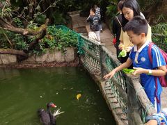 -深圳野生动物园