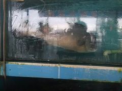 android_upload_pic-浪琴湾尾角仔海鲜坊