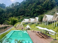 -江西阳明山国家森林公园