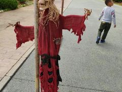 -蓬莱欧乐堡梦幻世界