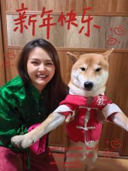 -上海徐(东方新天地店)