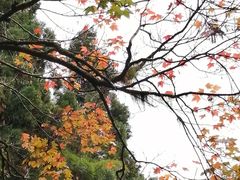 -雪峰寺