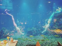 -海棠湾洲际-涛·海底餐厅·美人鱼·自助餐·海底隧道