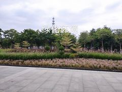 -映月湖公园