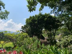 -四季酒店下午茶