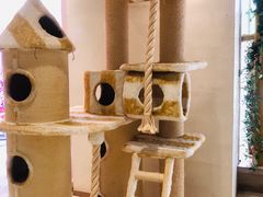 -藏猫猫咖啡主题馆(中央大道店)