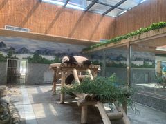 -西安秦岭野生动物园