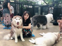 -TrueLove @ Neverland (Husky Cafe)
