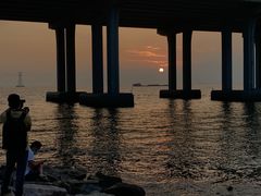 -宝安西湾红树林湿地公园