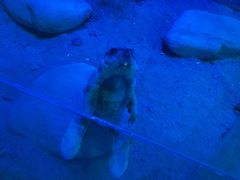 -常州海昌海洋探索馆