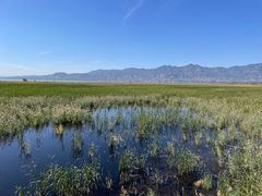 -野鸭湖国家湿地公园