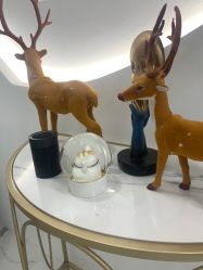 -臣丽纹眉全国连锁