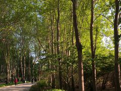 -长春公园(普阳街道)