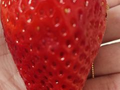 -汉堡王(南通星光耀店)