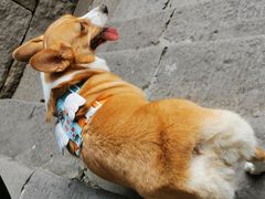 -重庆十八梯传统风貌区