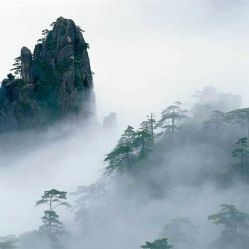 -YASAKI国际舞蹈中心