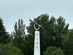 -黑龙江扎龙生态旅游区