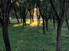 -东坝千亩湖公园