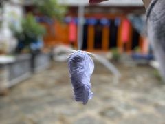 -璞真扎染博物馆