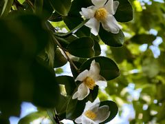 -敬亭山风景名胜区