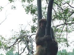 -黔灵山公园-南门售票处