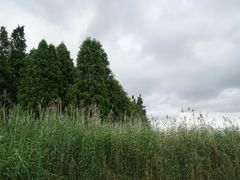 -捞渔河湿地公园