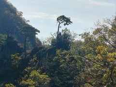 -大连天门山国家森林公园