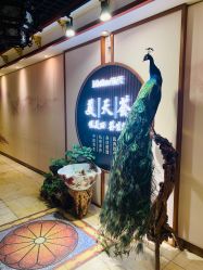 -大连美天医疗美容医院