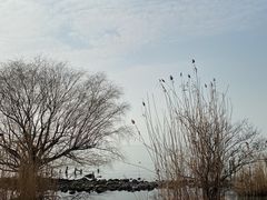 -东方绿舟景区