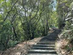 -火炉山森林公园
