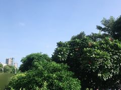 -粒上皇(湛江万达店)