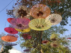 -武汉紫薇都市田园