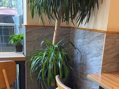 -宋益驴蹄子面肉夹馍(辛家庙店)