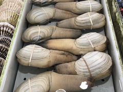 -南沙十九涌渔人码头-南门