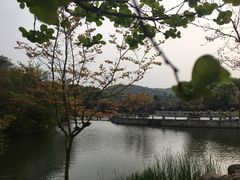 -白马涧龙池景区
