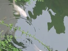 -张家港凤凰山景区恬庄古街