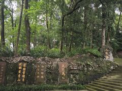 -峨眉山报国寺