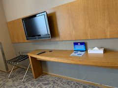 -北京民族园葉子里酒店(鸟巢店)