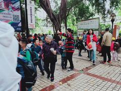 -爱乐蒙艺术·古筝 钢琴 声乐(科华校区)