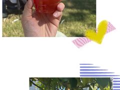 -陆家嘴中心绿地