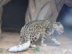 -青藏高原野生动物园