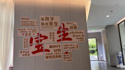 -宝生月子中心(独栋园林·福田店)