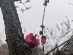 -七桥瓮公园