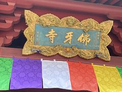 -新加坡佛牙寺龙华院