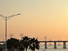 -宝安西湾红树林湿地公园