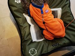 -拾溪餐厅(杭州千禧度假酒店)