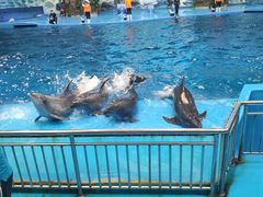 -多彩贵州城极地海洋世界